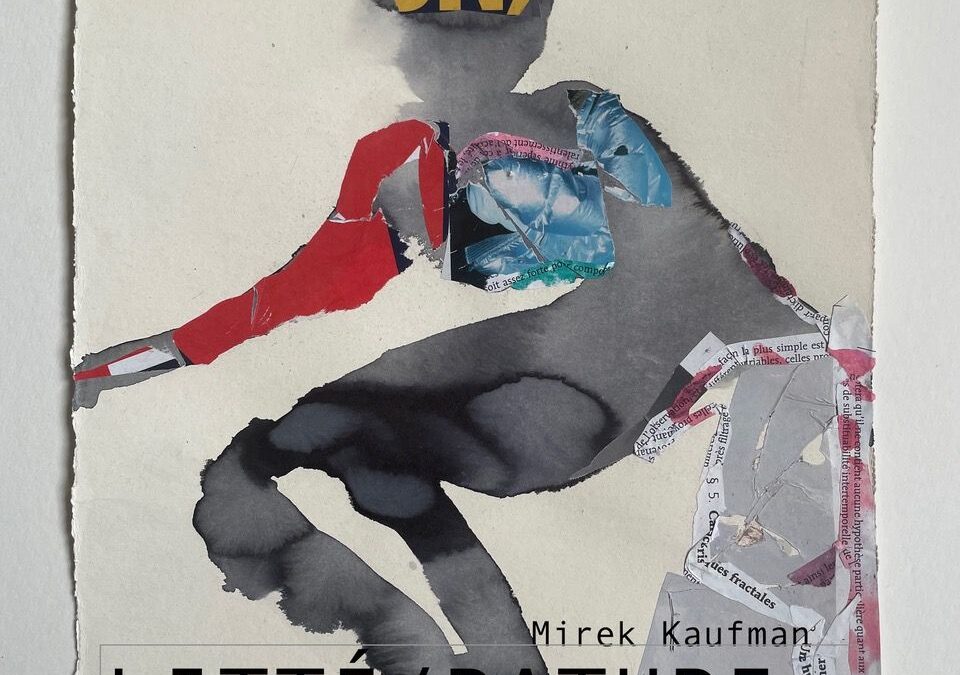 2025 PROMĚNĚNÁ LITERATURA – LITTÉ/RATURE / TRANSFORMED LITERATURE , Institut Français de Prague, Cz